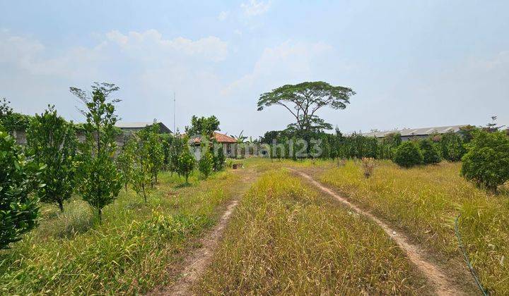 Tanah di jl.Raya Cukang Galih (dekat Cikupa).Tangerang SHM 16657 m² 1