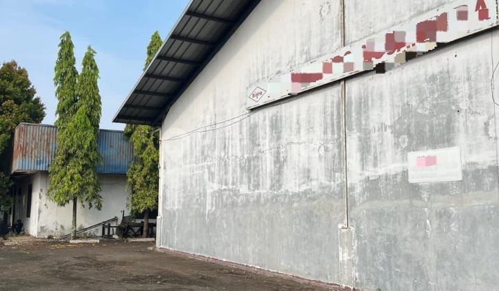 Pabrik di Bekasi utara Sudah Renovasi SHM, 5093 m 2
