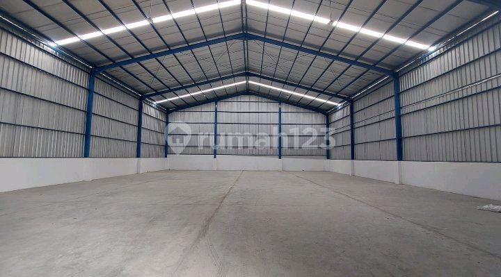Warehouse with 3 Storage New Building Warehouse with 3 Storage New Building