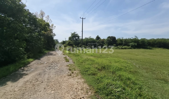 14 Hectares of Land in a Strategic Location, Maja, Lebak, Banten