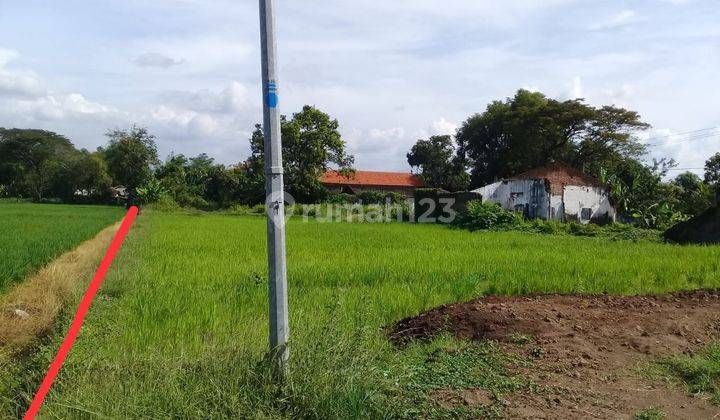 Tanah Kosong Artetis Air Sumber Kabupaten Pasuruan 1