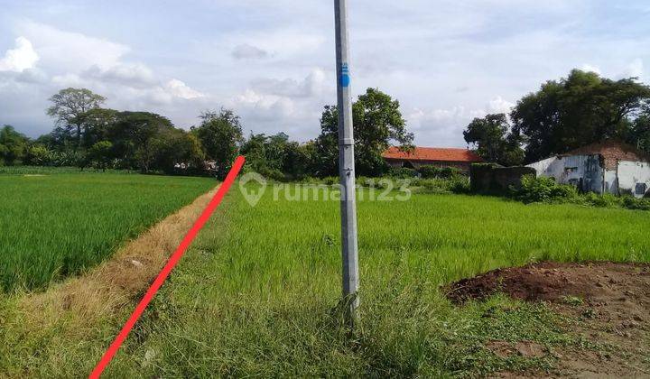 Tanah Kosong Artetis Air Sumber Kabupaten Pasuruan 2