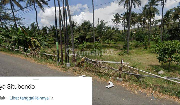 Jalan Raya Situbondo Kawasan Industri Banyuwangi 2