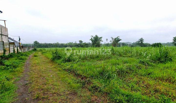 Tanah Saptorenggo Pakis Samping Naufal Regency 1