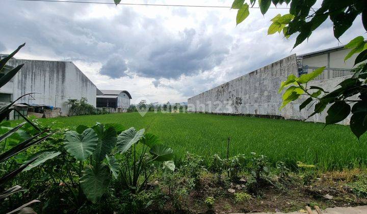 Raya Pakisaji Kepanjen Kabupaten Malang Hadap Barat 2