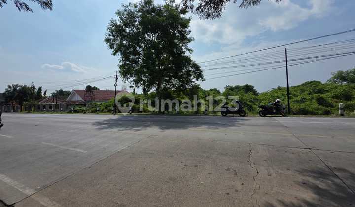 Lahan 3.4 Hektar Raya Gending Probolinggo dekat Exit Tol Lahan 3.4 Hektar Raya Gending Probolinggo dekat Exit Tol