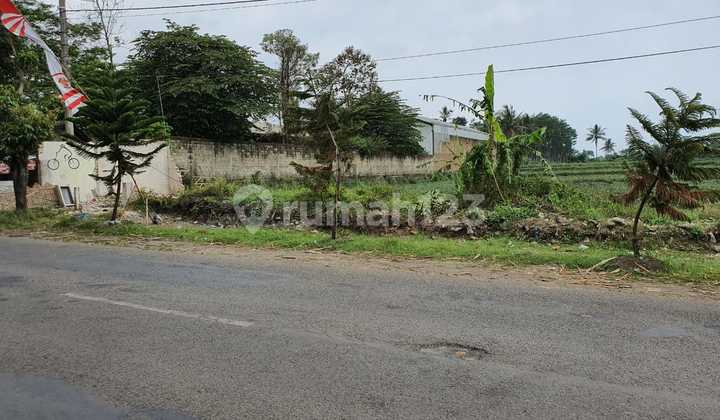 Lahan 1 Hektar Sumber Pasir Pakis Kabupaten Malang Lahan 1 Hektar Sumber Pasir Pakis Kabupaten Malang