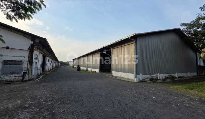 Warehouse and Land Rental Location Raya Driyorejo Gresik 9 Minutes From Toll Gate Warehouse and Land Rental Location Raya Driyorejo Gresik 9 Minutes From Toll Gate