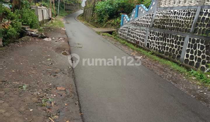 Wonorejo Village, Poncokusumo District, Malang Regency