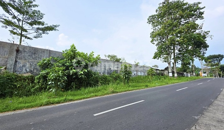 Tanah 1 Hektar Area Raya Tumpang Kabupaten Malang Tanah 1 Hektar Area Raya Tumpang Kabupaten Malang