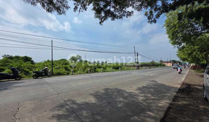 Lahan 3.4 Hektar Raya Gending Probolinggo dekat Exit Tol Lahan 3.4 Hektar Raya Gending Probolinggo dekat Exit Tol