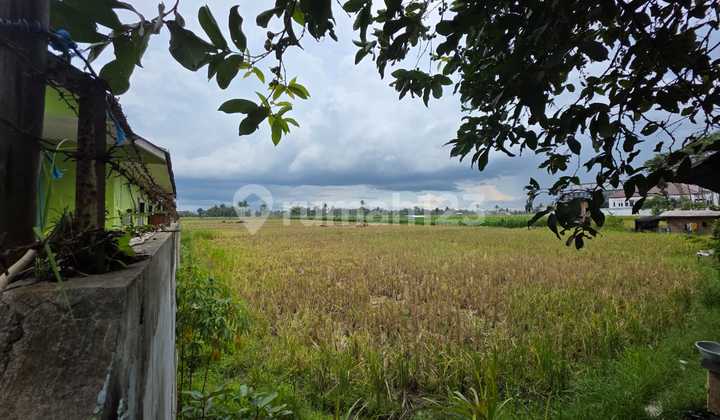 Raya Kepanjen Malang Lokasi Strategis Pertigaan Jalibar Raya Kepanjen Malang Lokasi Strategis Pertigaan Jalibar