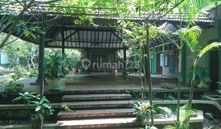 Tanah Lokasi Raya Purwodadi Lawang