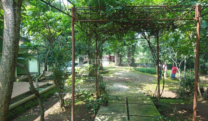 Tanah Lokasi Raya Purwodadi Lawang