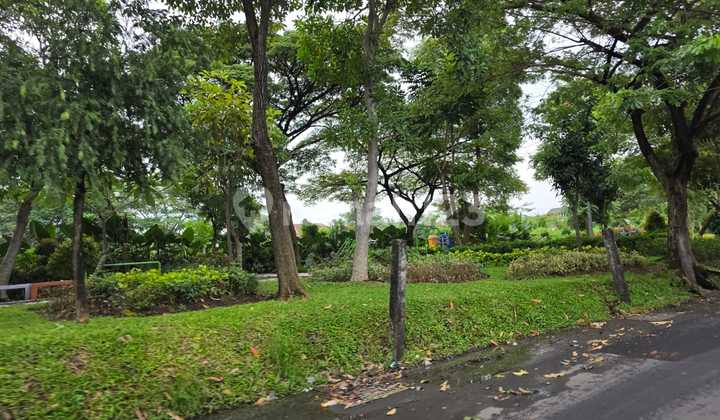 Tanah Lokasi Wonorejo Surabaya Tembus 2 Jalan Tanah Lokasi Wonorejo Surabaya Tembus 2 Jalan