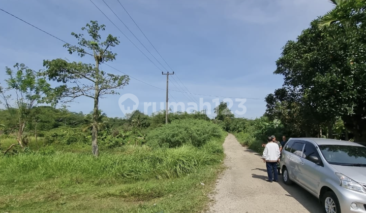 Lahan 14 Hektar Lokasi Strategis Maja Lebak Banten 