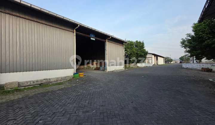 Warehouse and Land Rental Location Raya Driyorejo Gresik 9 Minutes From Toll Gate Warehouse and Land Rental Location Raya Driyorejo Gresik 9 Minutes From Toll Gate