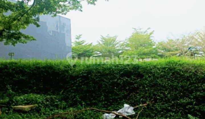 Dijual Tanah Kavling Di Cluster Lotus Valley The Araya Malang Dijual Tanah Kavling Di Cluster Lotus Valley The Araya Malang