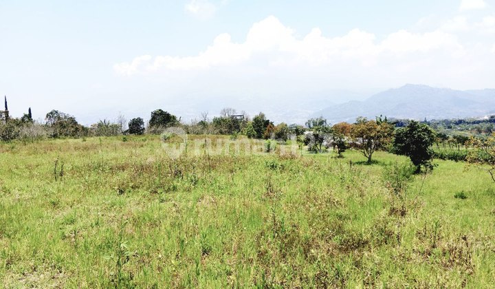 Dijual Tanah Luas Dengan View Istimewa Di Bulukerto, Kota Batu