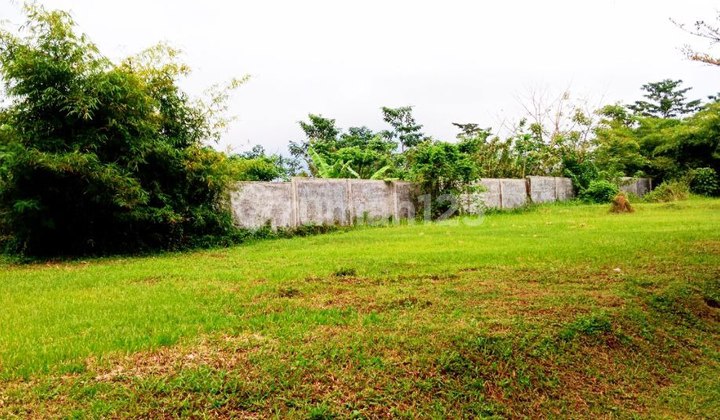 Dijual Tanah Kavling Di Cluster Pine Hill The Araya Malang Dijual Tanah Kavling Di Cluster Pine Hill The Araya Malang