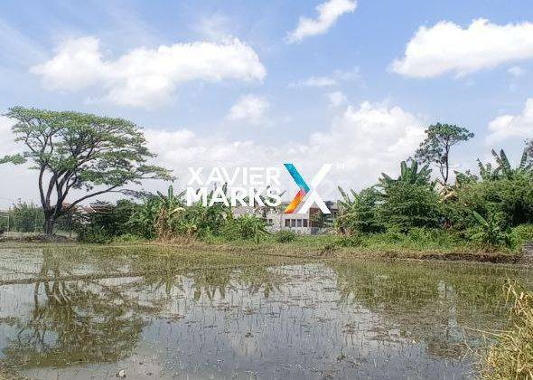 Dijual Tanah Strategis di Poros Jalan Raya Panji Suroso, Malang 1