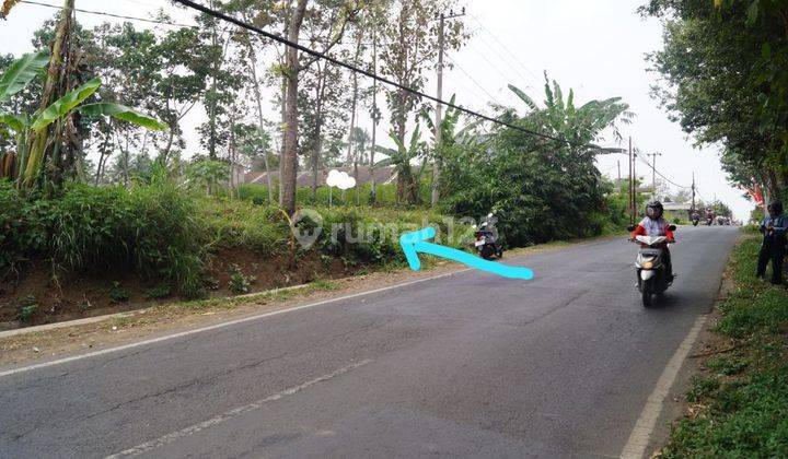 Dijual Tanah Luas Strategis Di Poros Jalan Raya Tlogowaru, Malang 1