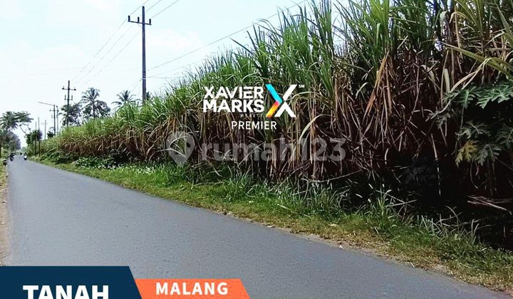 Land for Quick Sale in Strategic Location, Banjarsari, Bululawang, Malang Regency