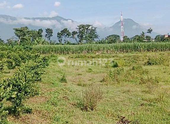 Dijual Murah Tanah Luas Dibelakang Austinville, Dieng Atas Malang 1