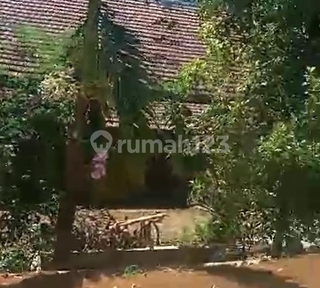 Rumah Dan Tanah Wonosalam, Jombang 4