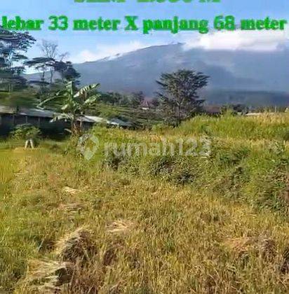 Lahan Area Wisata Pacet Mojokerto  1