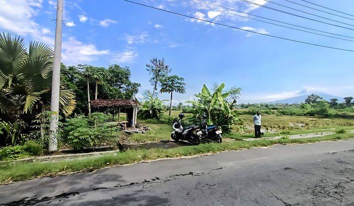 Tanah Pekarangan Murah Stretagis Tepi Aspal di Jogotirto Berbah Dekat Lava Bantal 2