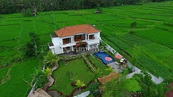 Villa dekat Ubud 8
