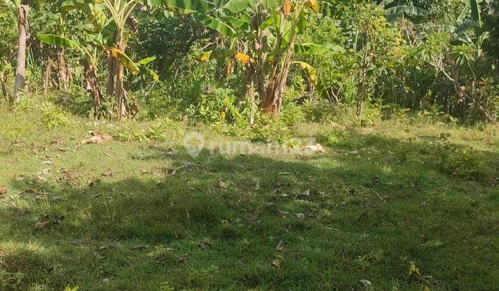 Tanah Jalan Utama Petak Bebalang Bangli Bali 4