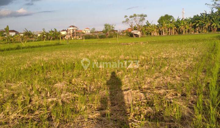 Tanah Sewa Jalan Utama Taman Pancing 1