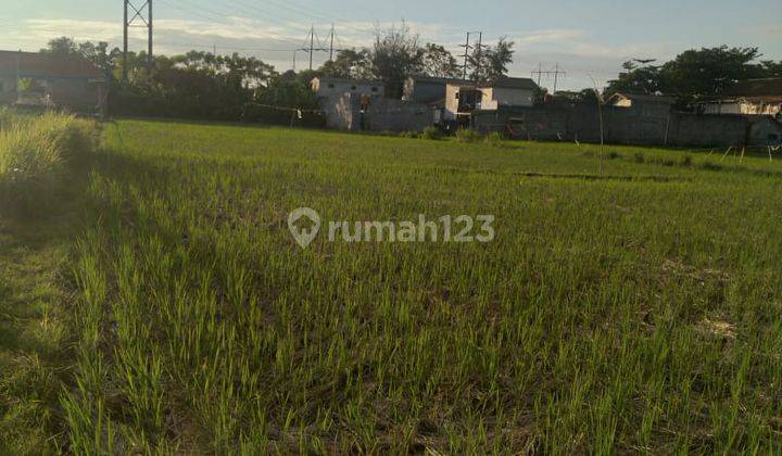 Tanah Sewa Jalan Utama Taman Pancing 3