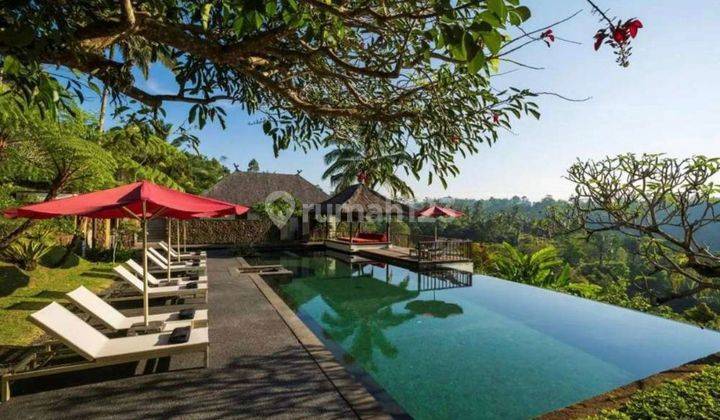 Sale 7 Villa In Ubud 2