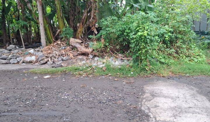 Tanah Dijual Di Jalan Pulau Moyo 2