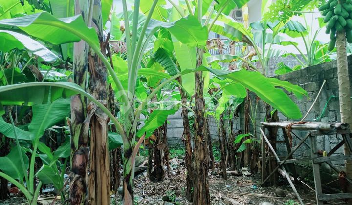 Tanah Dijual di Trengguli Tanah Dijual di Trengguli