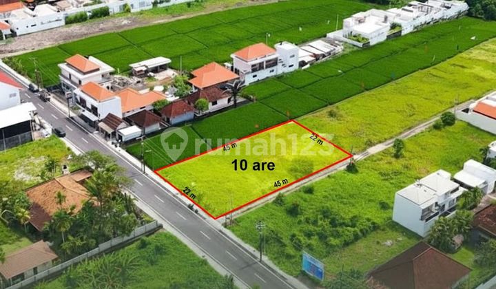 Land For Sale Cemagi