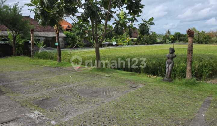 Tanah Sewa Jalan Utama Waribang