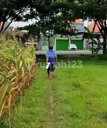 Tanah di Djenu Tuban, Tuban SHM 33.000 m² 3