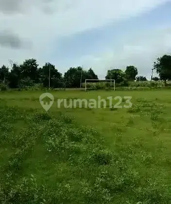Tanah di Djenu Tuban, Tuban SHM 33.000 m² 4