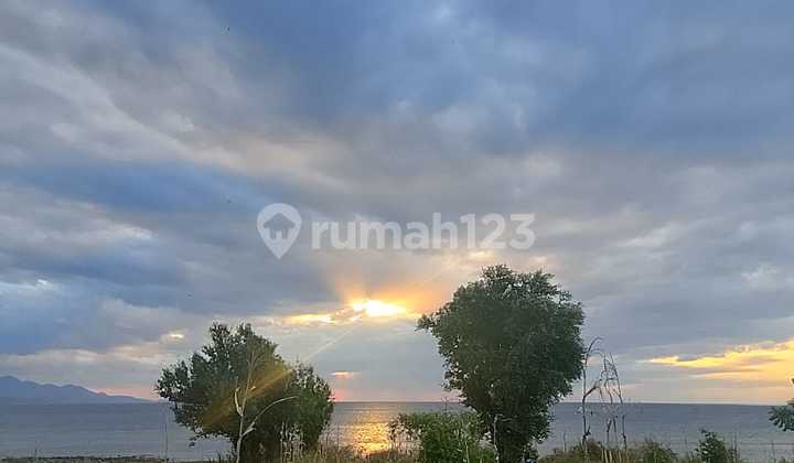 For Sale 1 Ha Prime Land in Sumbawa (015)