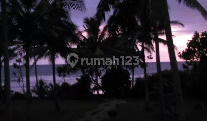 Jual Tanah DI Jembrana Bali Barat SHM 5600m2 (026) Jual Tanah DI Jembrana Bali Barat SHM 5600m2 (026)