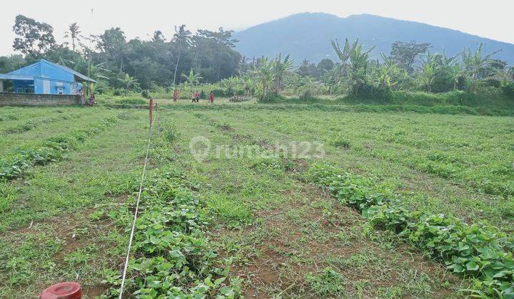 Kavling Villa View Gunung Salak Cocok Untuk Invest Pasti Untung, SHM 2