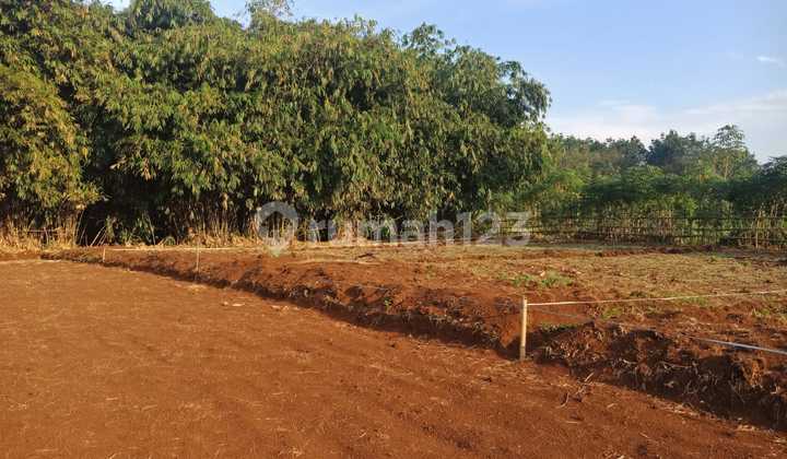  Invest Kavling Area Ibu Kota Kab. Bogor Barat, Cuma 900 Rb An M2 2