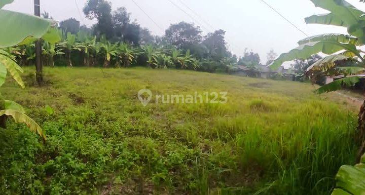 700 Rb An Kavling SHM Area Cibarusah. View Sawah Bukit 2