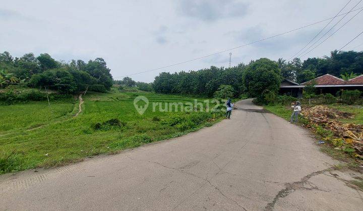 50 Jt-an Kavling SHM Dekat Calon Tol Japek 2. Bisa Cicilan Tanpa Bunga 2