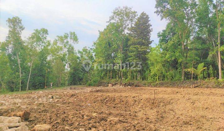 Tanah Dijual SHM Pasti Dekat Stasiun Citayam 1