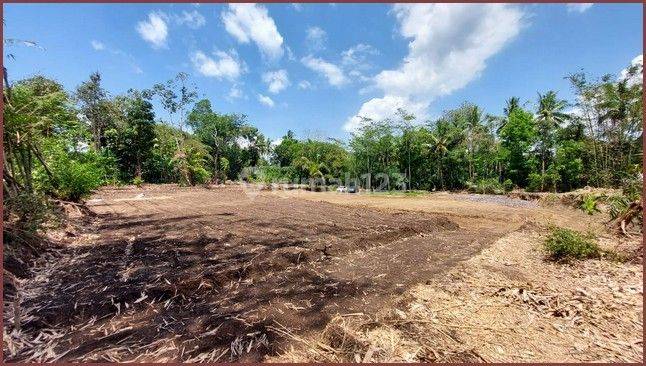 Jual Tanah Kavling Murah Di Mungkid Magelang 5